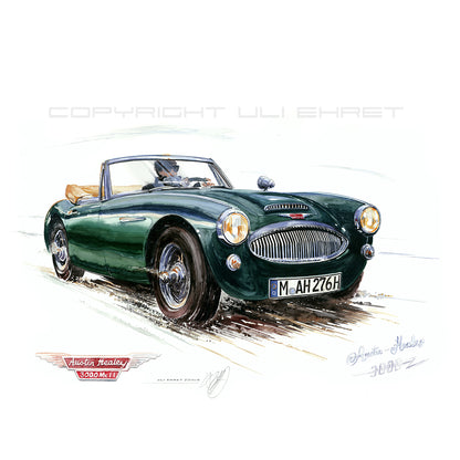 #0209  'Austin Healey 3000'
