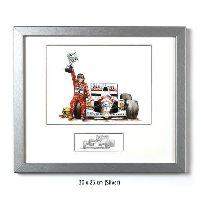 #0211 Ayrton Senna, 'Paixao Imbatativel' 