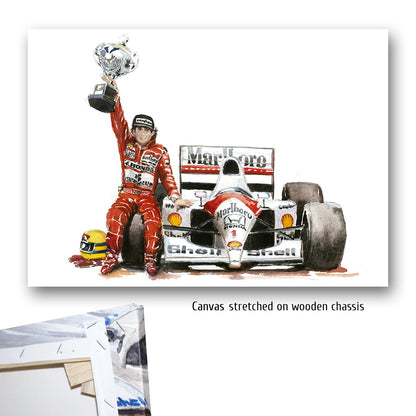 #0211 Ayrton Senna, 'Paixao Imbatativel' 