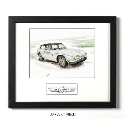 #0243  'Reliant Scimitar'
