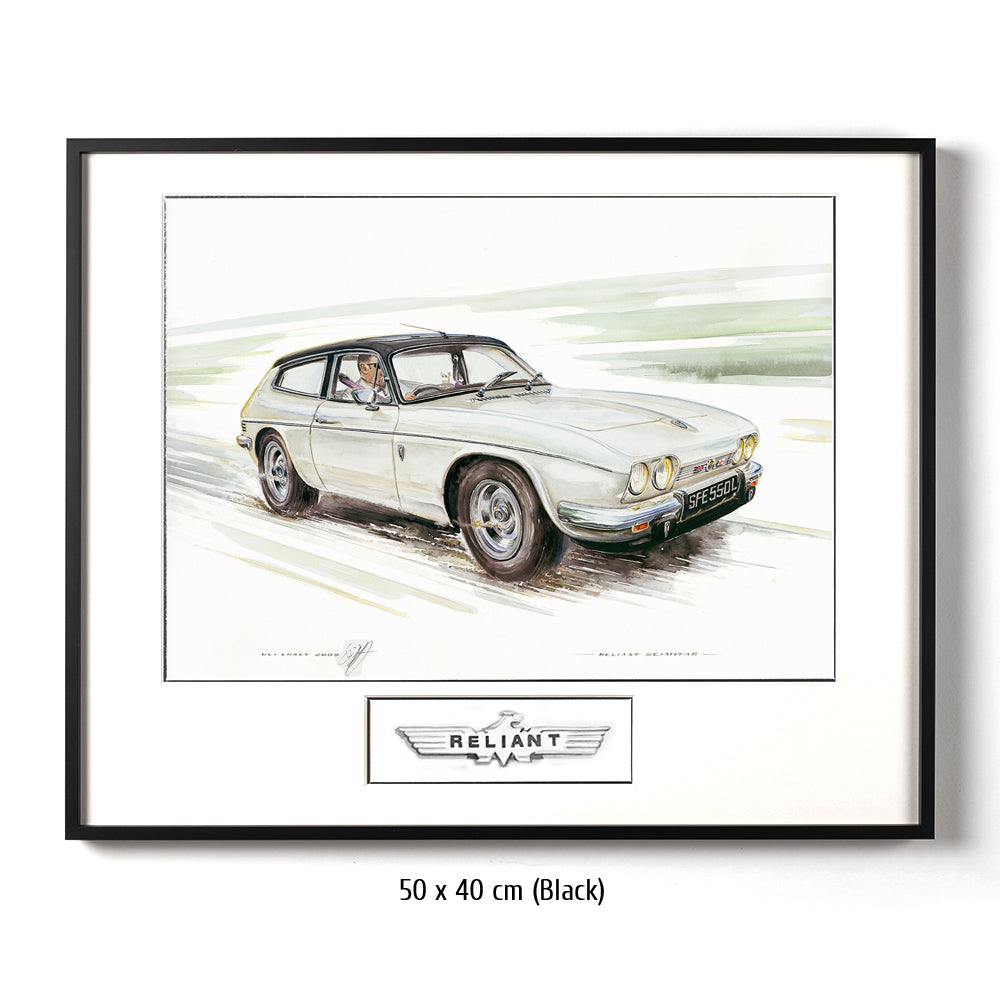 #0243 'Reliant Scimitar