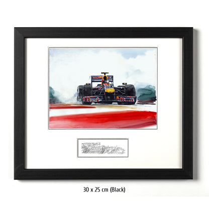 #0287  "Sebastian Vettel"