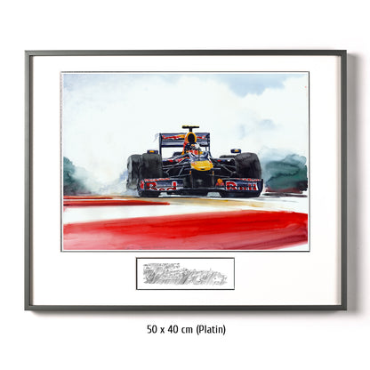 #0287  "Sebastian Vettel"