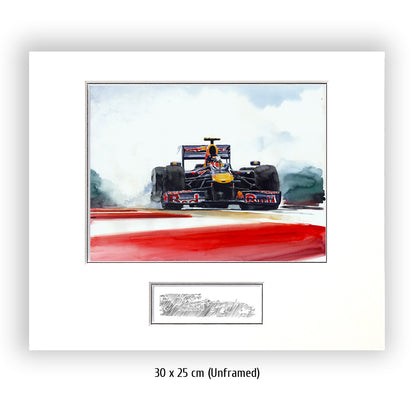 #0287  "Sebastian Vettel"