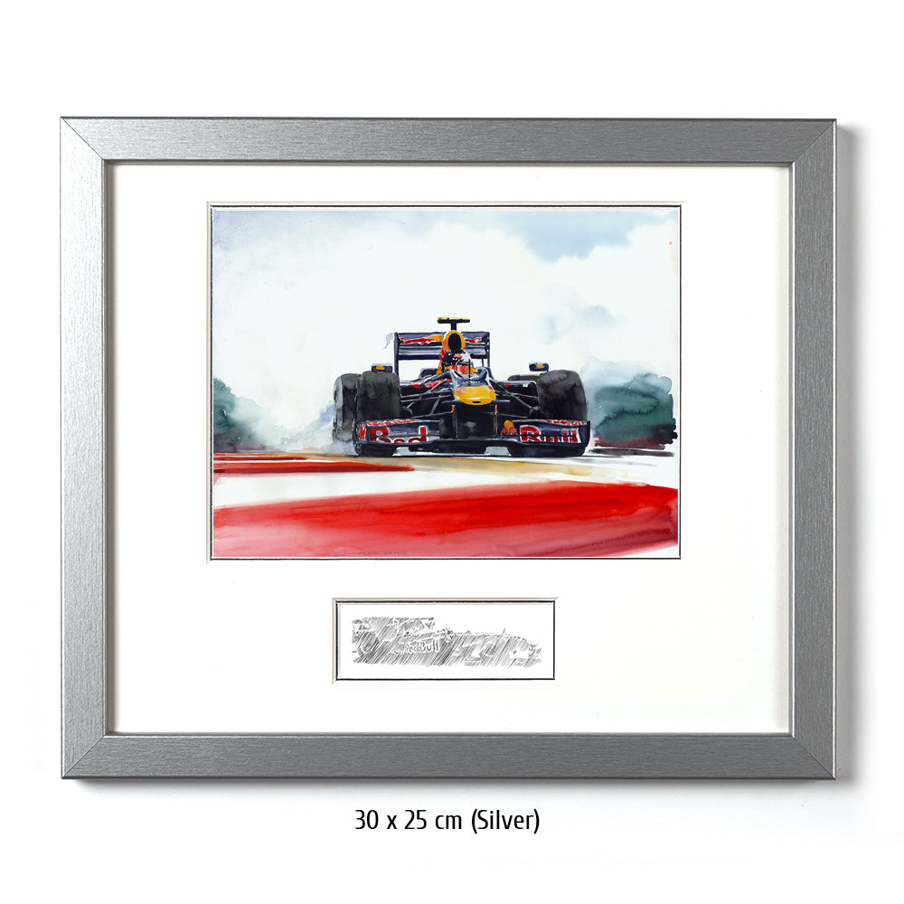 #0287 ""Sebastian Vettel""