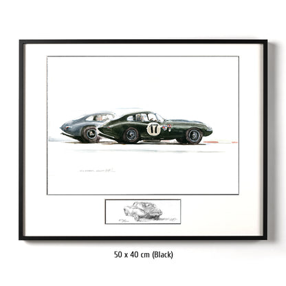 #0313  'Jaguar E-Types'