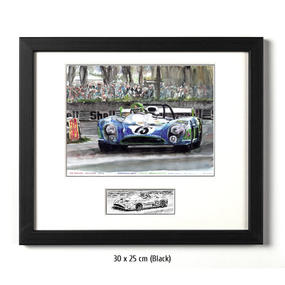 #0035  "Matra MS 670"