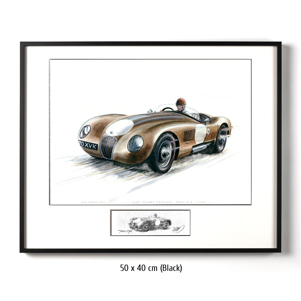 #0382 'Juan Manuel Fangio's Jaguar C-Type
