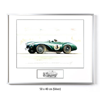 #0394  'Goodwood Nine Hours 1955'