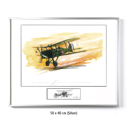 #0422  'SE 5 Air Plane'