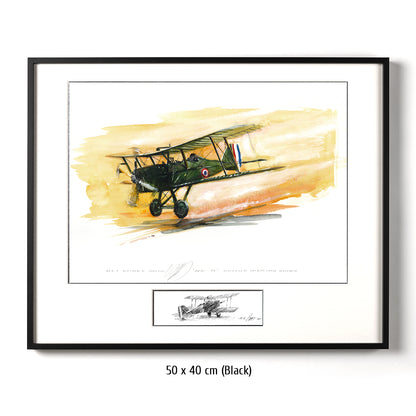 #0422  'SE 5 Air Plane'