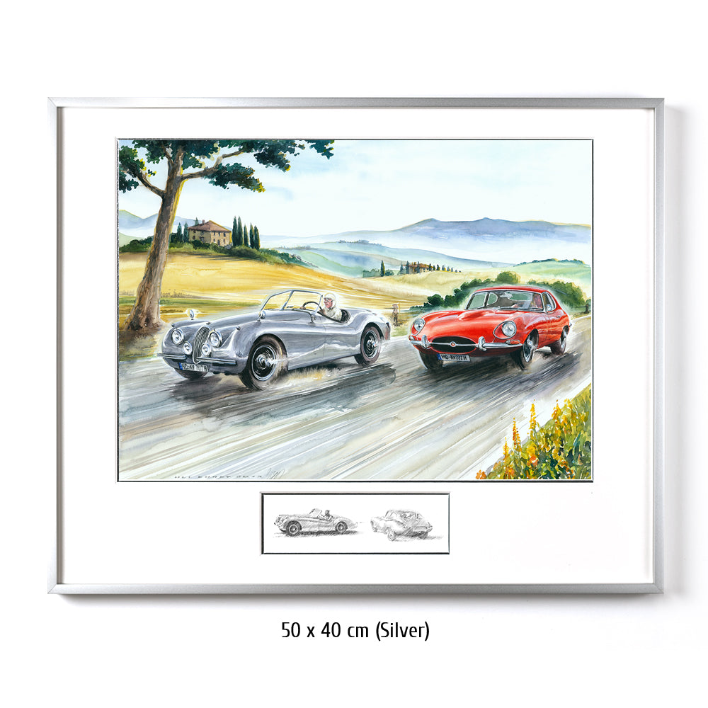 #0479 'Jaguars in Tuscany