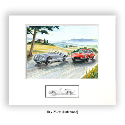 #0479  'Jaguars in Tuscany'