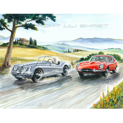 #0479  'Jaguars in Tuscany'