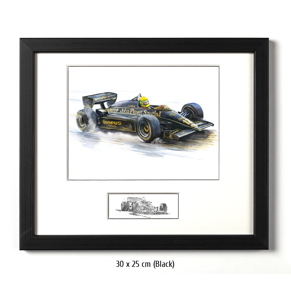 #0491 'Ayrton Senna