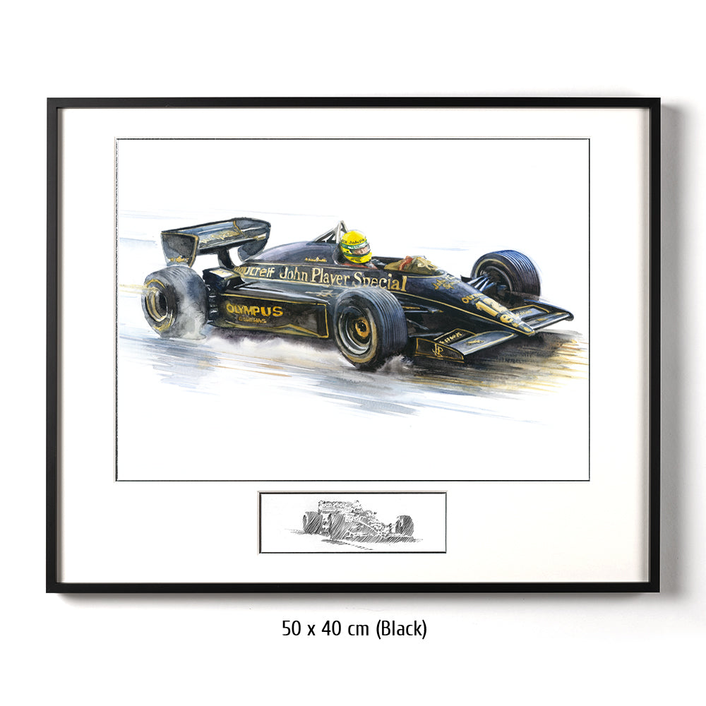 #0491 'Ayrton Senna
