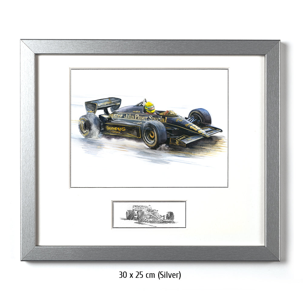 #0491 'Ayrton Senna