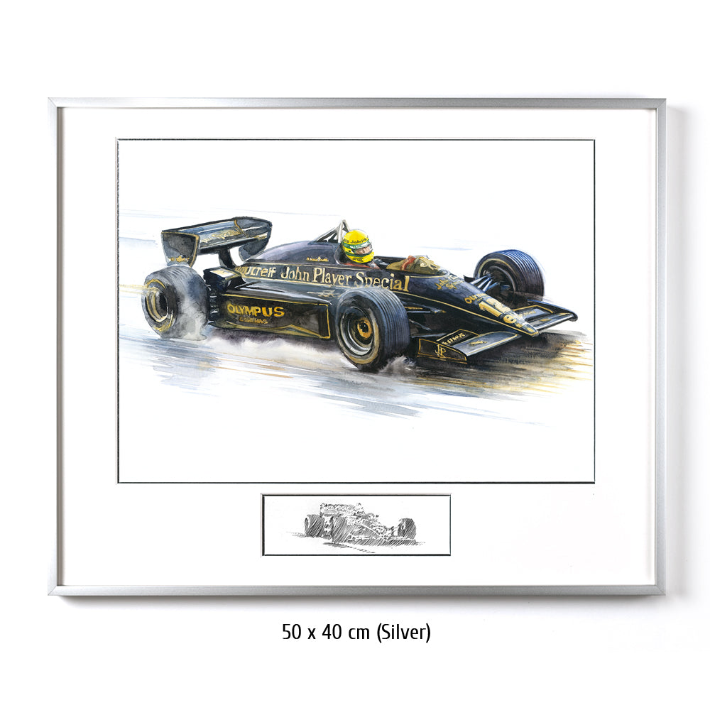 #0491 'Ayrton Senna