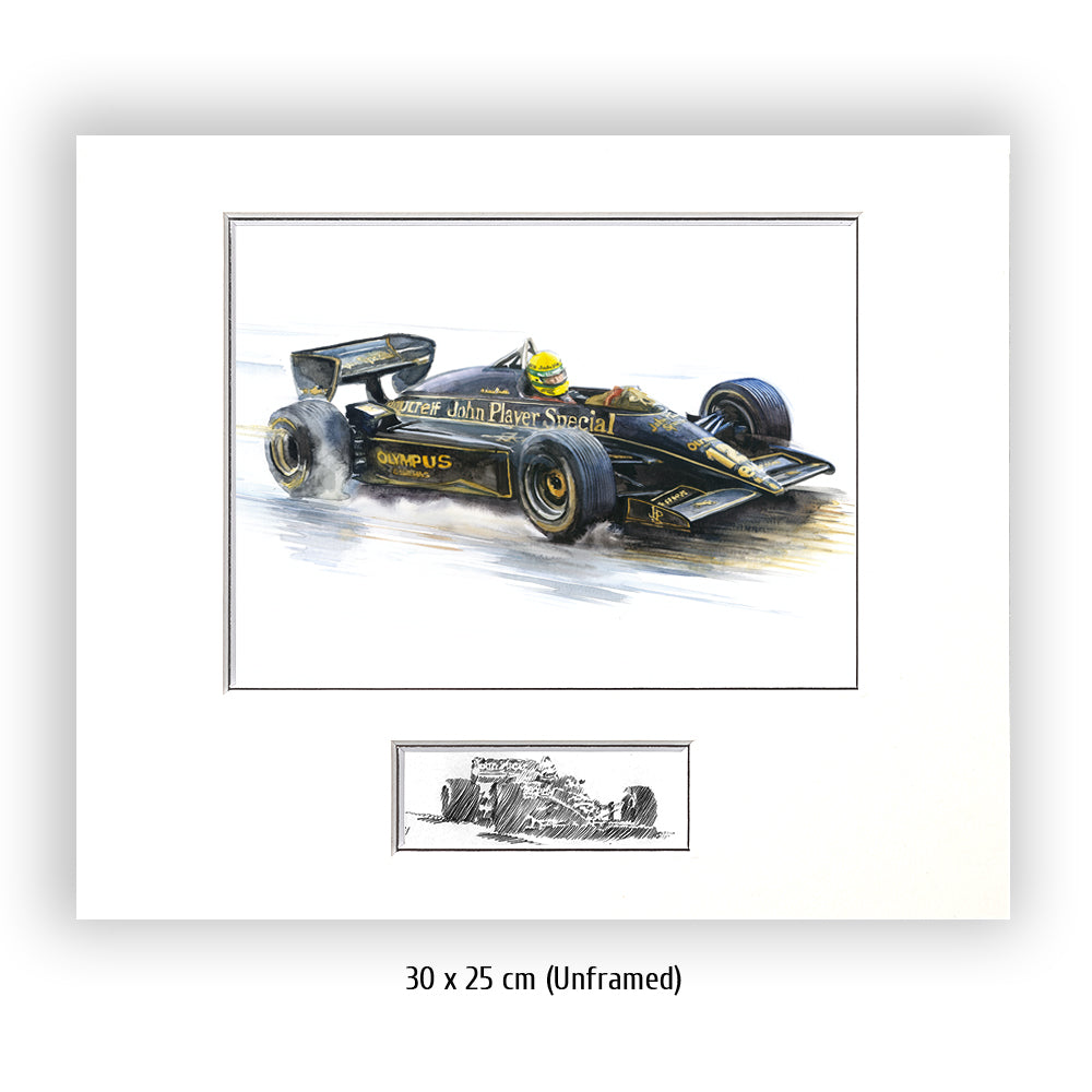 #0491 'Ayrton Senna