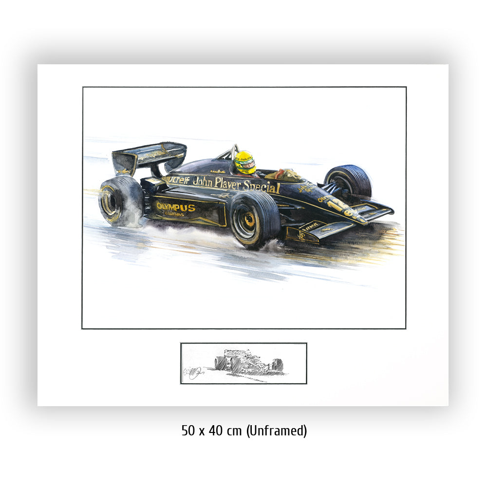 #0491 'Ayrton Senna