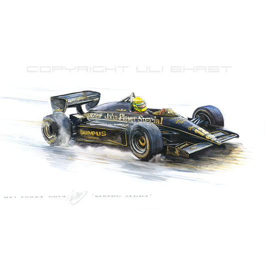 #0491 'Ayrton Senna