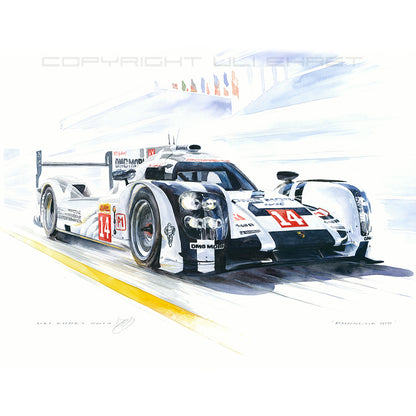 #0495 B  "Porsche 919 LMP1 #14"