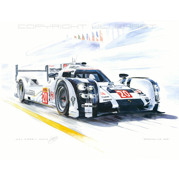 #0495 A  "Porsche 919 LMP1 #20"