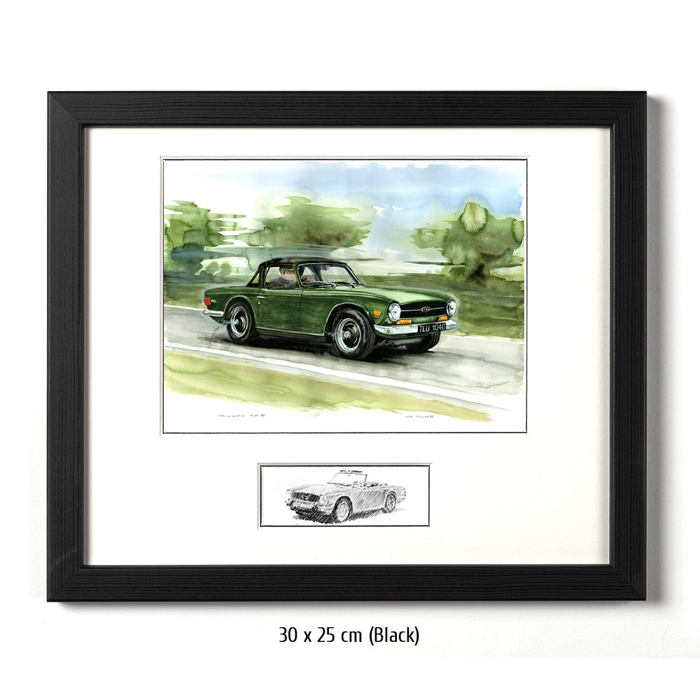 #0065 'Triumph TR6
