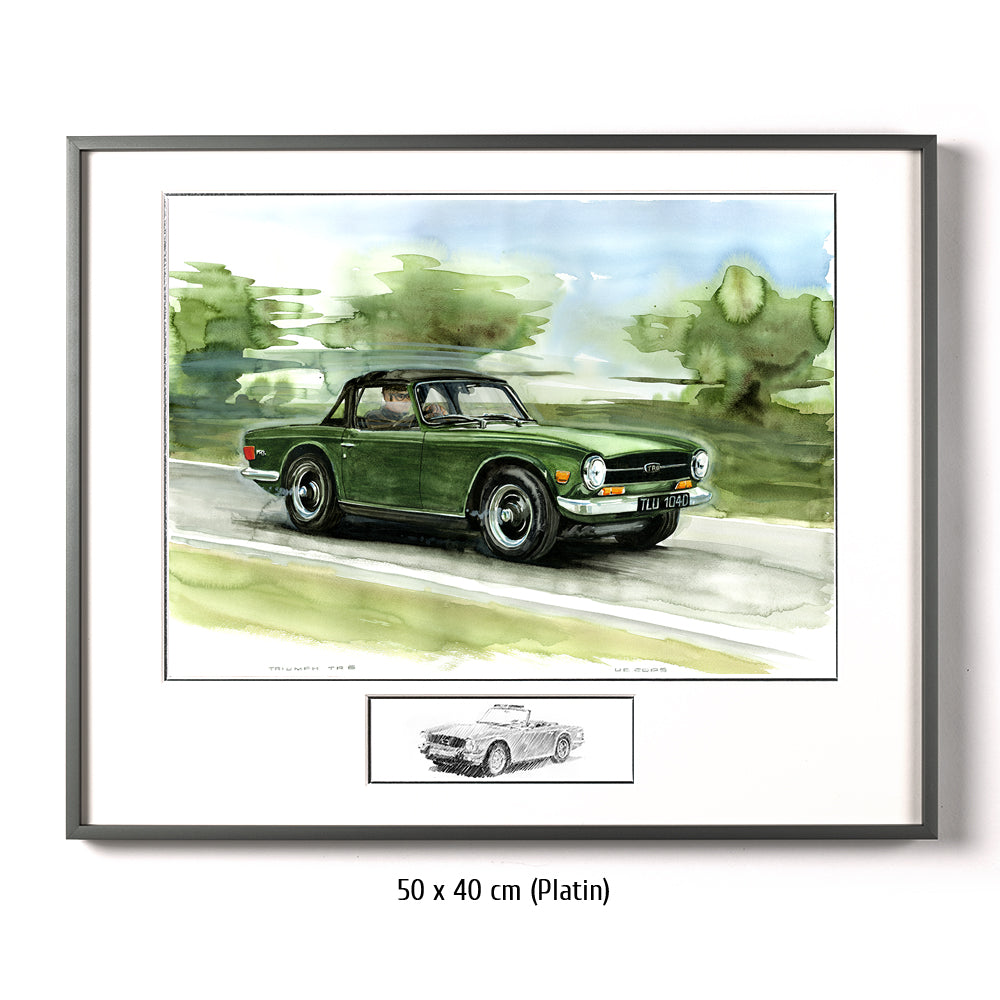 #0065 'Triumph TR6