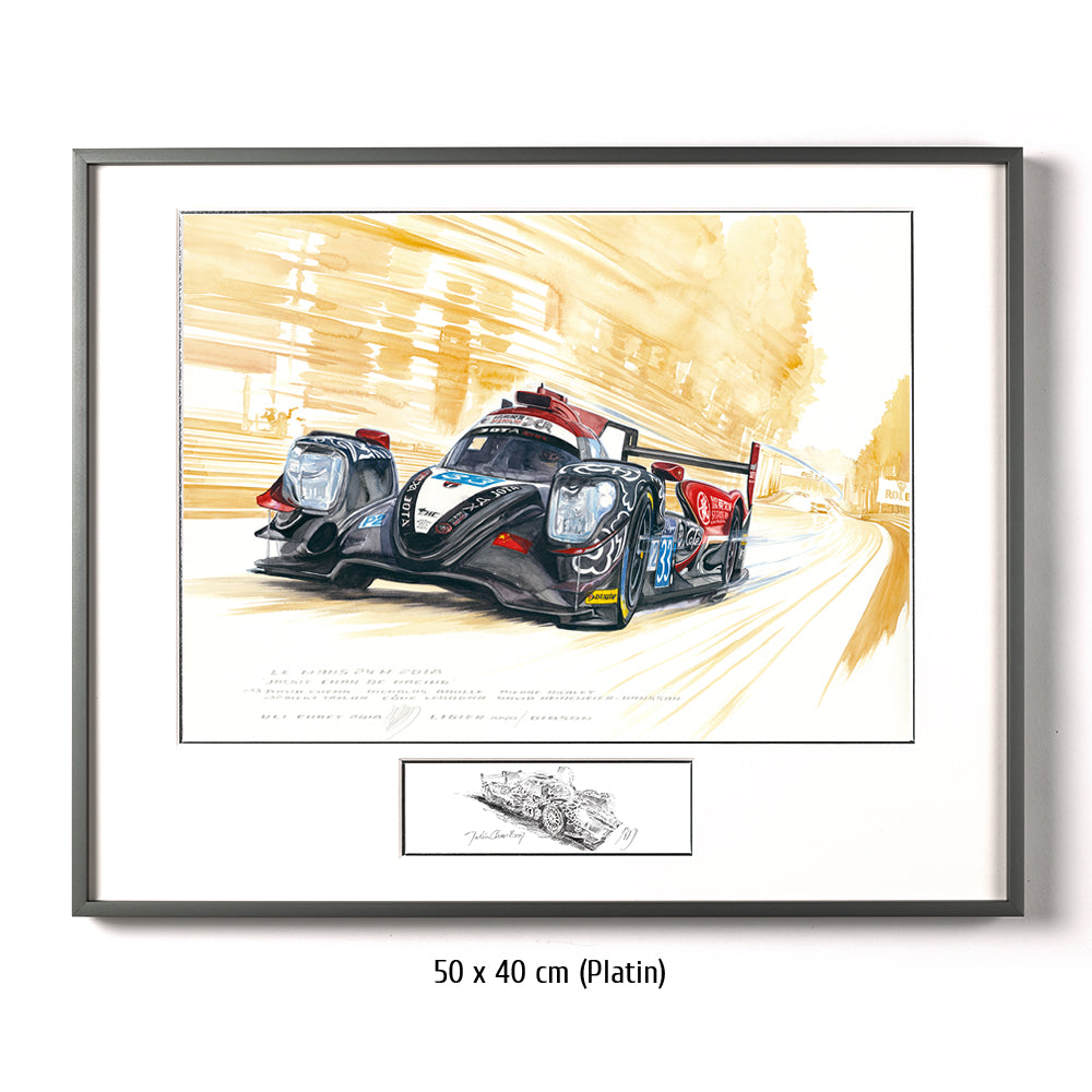 #0738 'Jackie Chan DC Racing #33