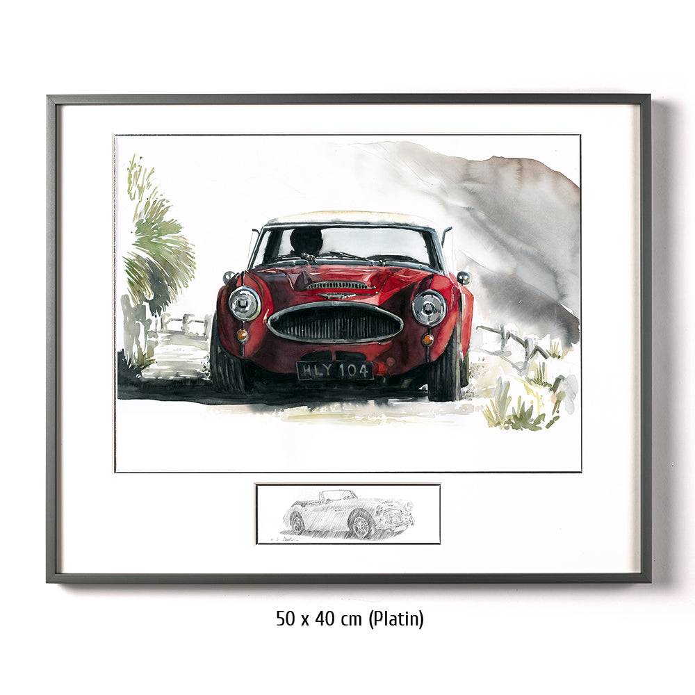 #0075 'Austin Healey 3000