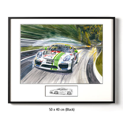 #0764 "Porsche Cayman GT4"