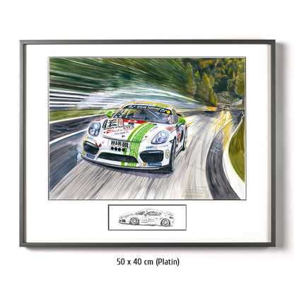 #0764 "Porsche Cayman GT4"