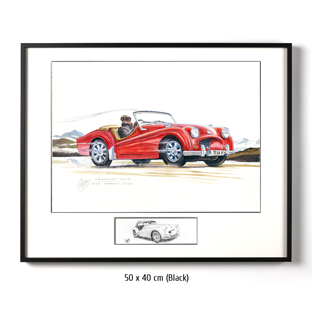 #0770 'Triumph TR2