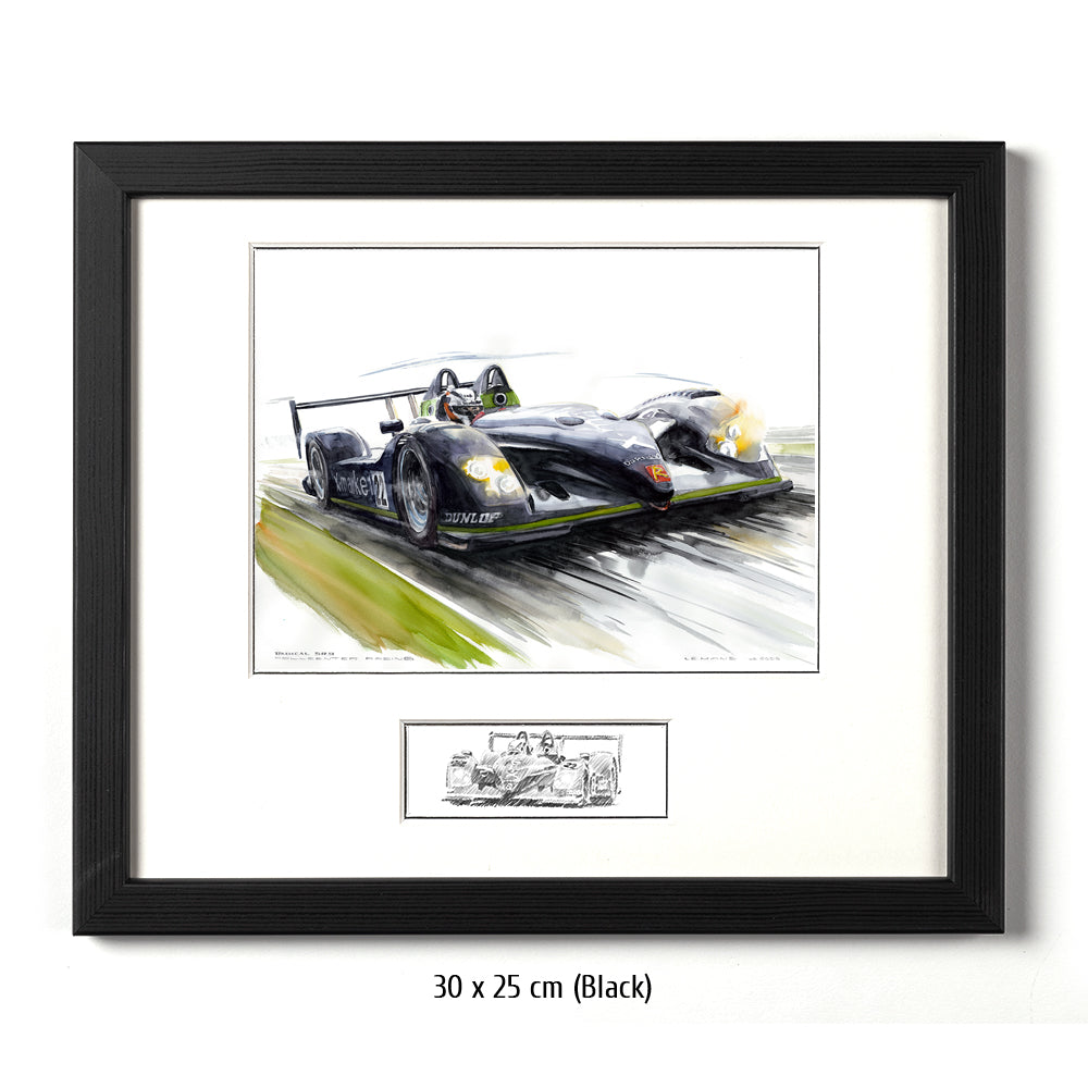 #0080 'Radical SR9
