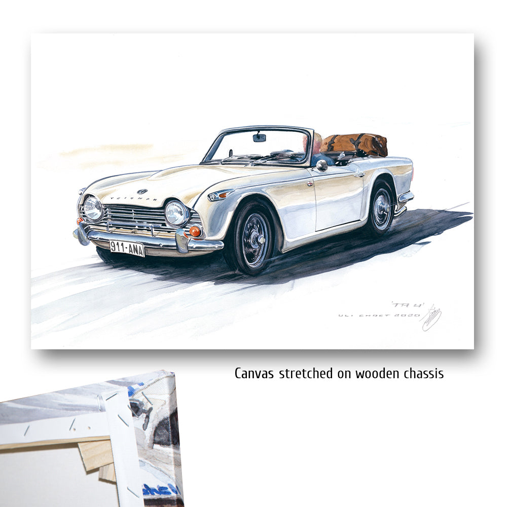 #0873 Triumph TR 250