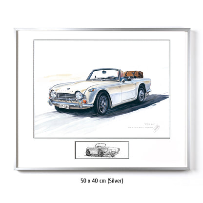 #0873 Triumph TR 250
