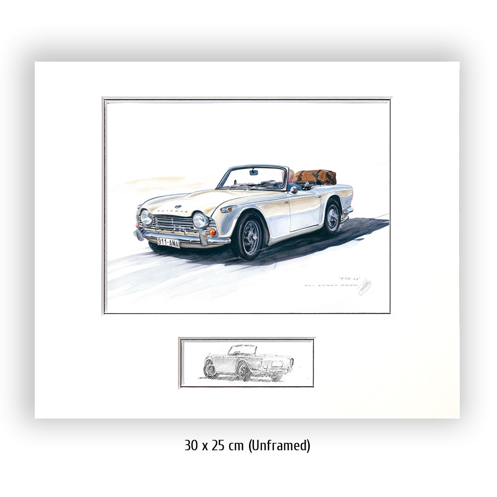 #0873 Triumph TR 250