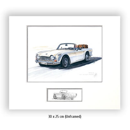 #0873 Triumph TR 250