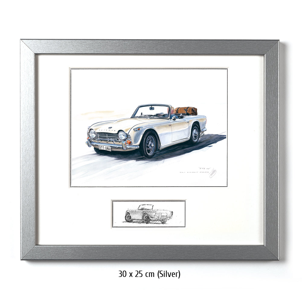 #0873 Triumph TR 250