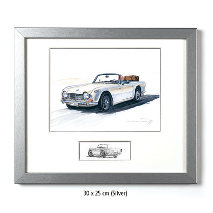 #0873 Triumph TR 250