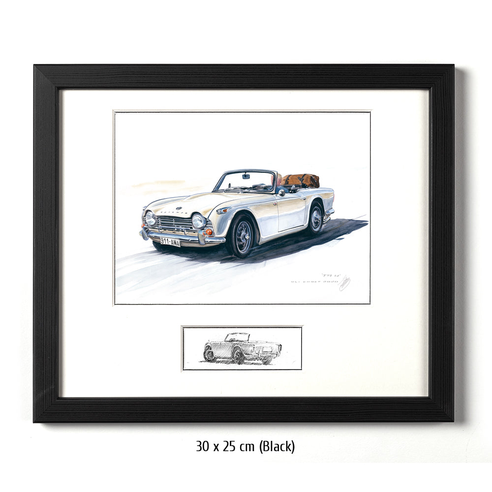 #0873 Triumph TR 250