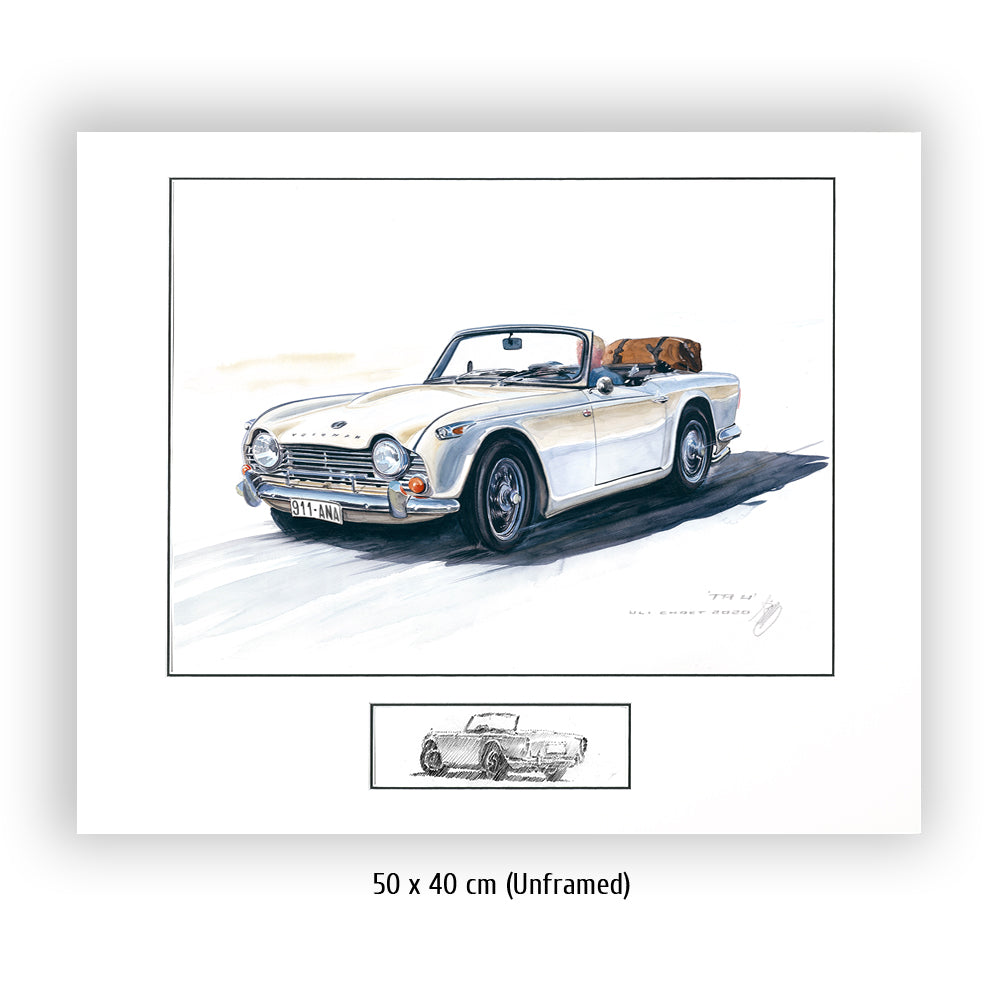 #0873 Triumph TR 250