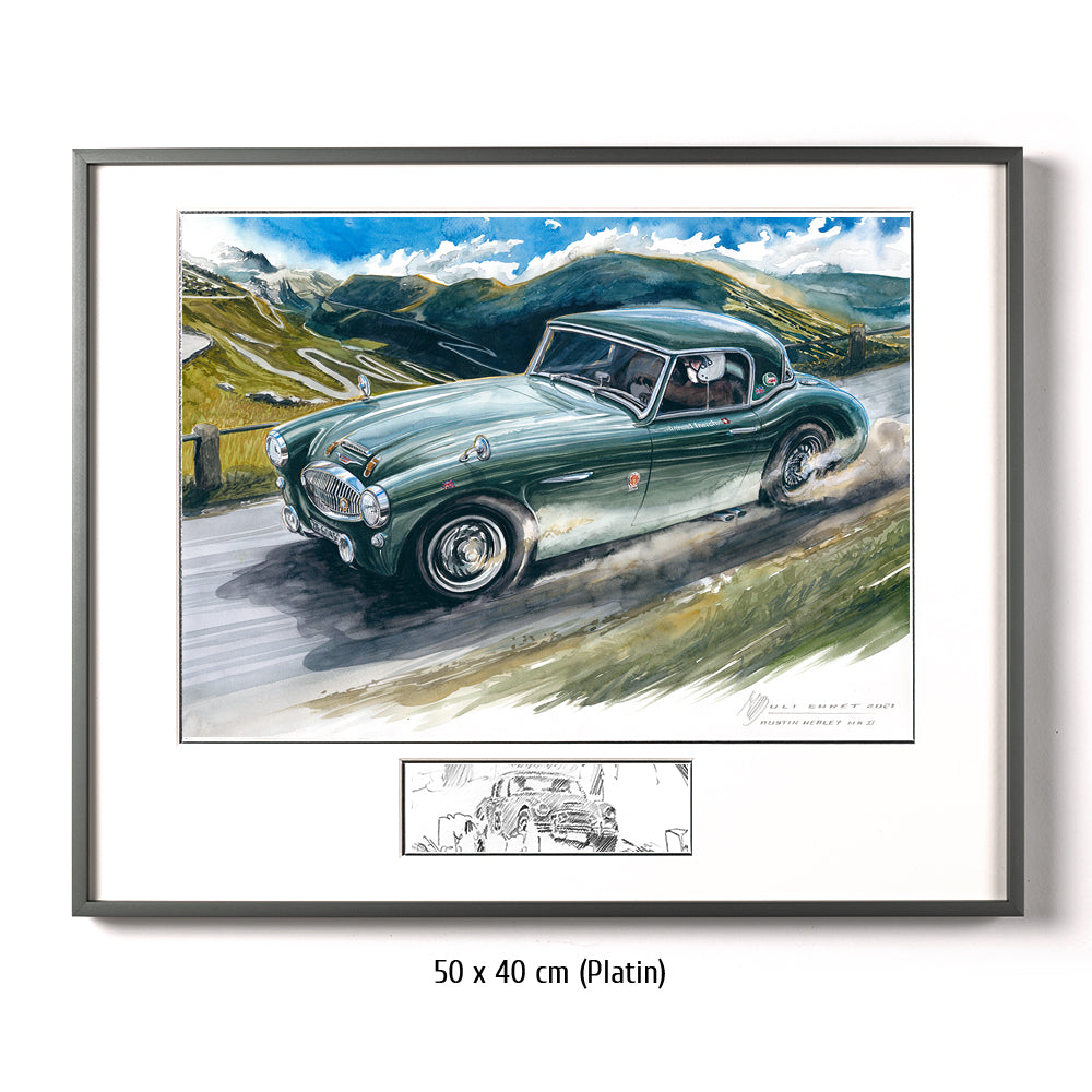 #0956 'Austin Healey, MK II