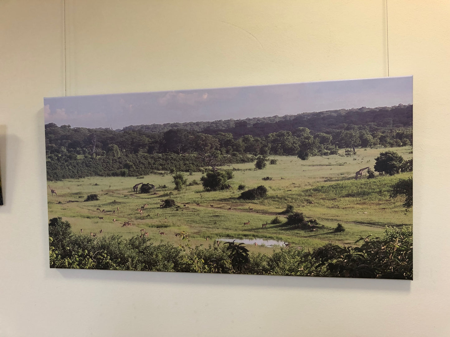 L1016  Chobe Nationalpark